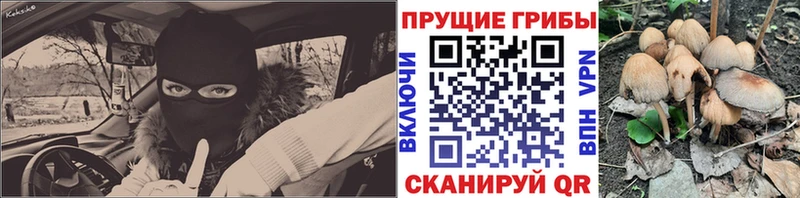 Псилоцибиновые грибы прущие грибы  хочу наркоту  Великие Луки 